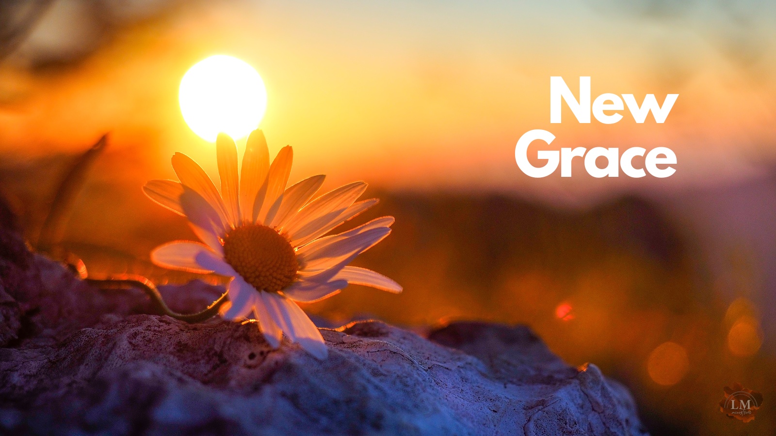 New Grace Linda Markowitz Ministries