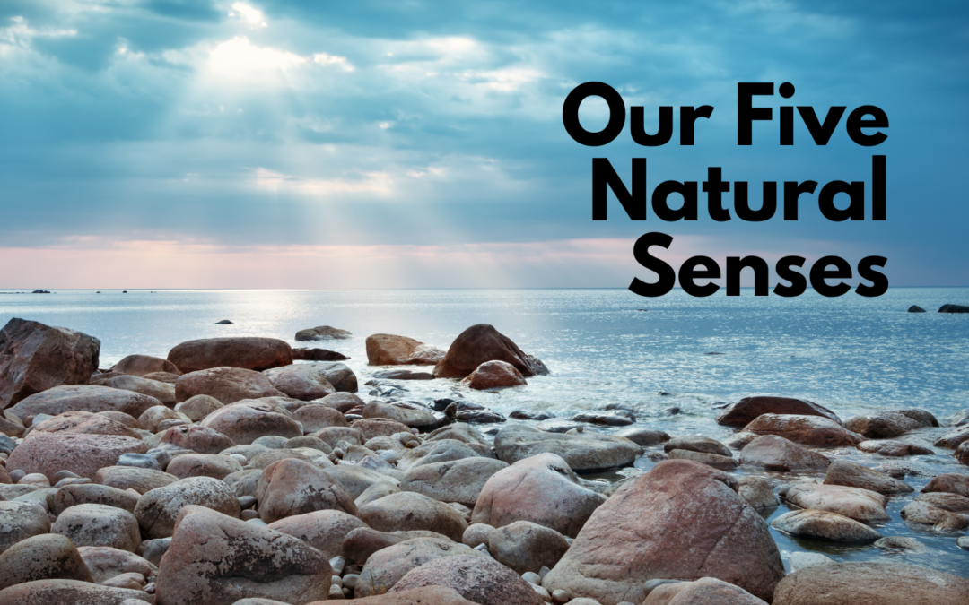 Our Five Natural Senses
